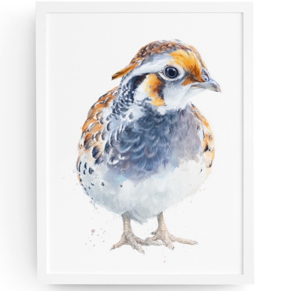Watercolor Quail Wall Art Print, Unframed - Vibrant Nature-Inspired Home Decor - Picture 1 of 6